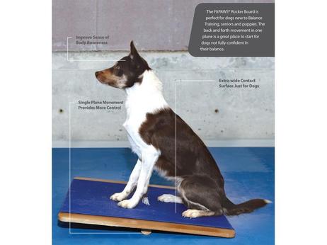 FitPAWS Giant Rocker Board - 75x75cm (112-2790)