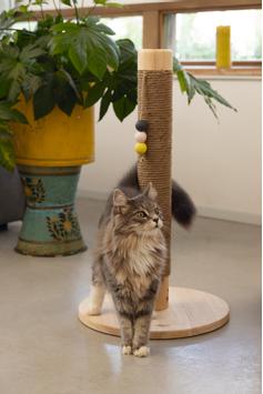 Designed by Lotte Sinora Klorestativ - 70cm (51-408936)