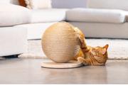 Designed by Lotte Balty Kloreglobe med Leke til Katt - 27cm (51-408939)