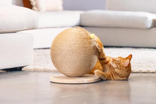 Designed by Lotte Balty Kloreglobe med Leke til Katt - 27cm (51-408939)