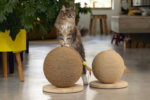 Designed by Lotte Balty Kloreglobe med Leke til Katt - 27cm (51-408939)