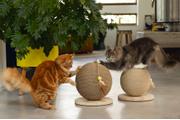Designed by Lotte Balty Kloreglobe med Leke til Katt - 27cm (51-408939)