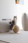 Designed by Lotte Balty Kloreglobe med Leke til Katt - 31,5cm (409129)