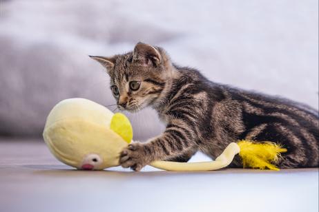 Loena Kitten Wobbler - 1stk (51-430017)