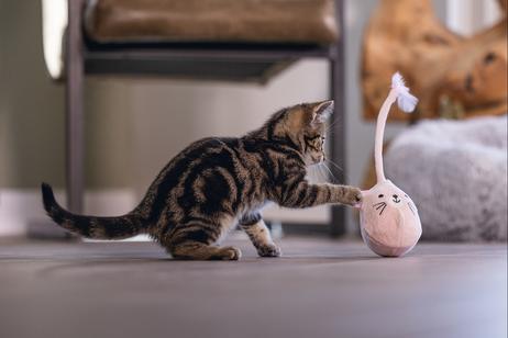 Loena Kitten Wobbler - 1stk (51-430017)