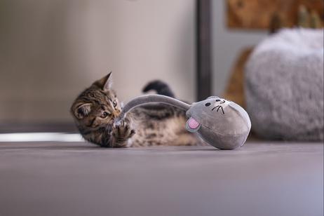 Loena Kitten Wobbler - 1stk (51-430017)