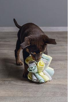 Izzy Snuseball til Valp - 13cm (51-619907)