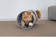 Designed by Lotte Cylla Velur Tunnel til Katt, Grå - 65cm (51-704747)