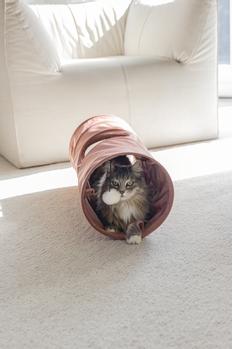 Designed by Lotte Cylla Velur Tunnel til Katt, Rosa - 65cm (51-704750)