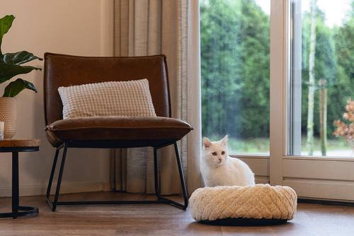 Levisa Katteseng,  Beige - 43cm (51-705125)