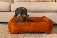 Designed by Lotte Hundeseng i Ribbestoff - Terra (51-716262-1500018978)