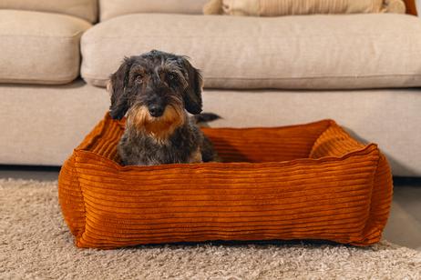 Designed by Lotte Hundeseng i Ribbestoff - Terra (51-716262-1500018978)