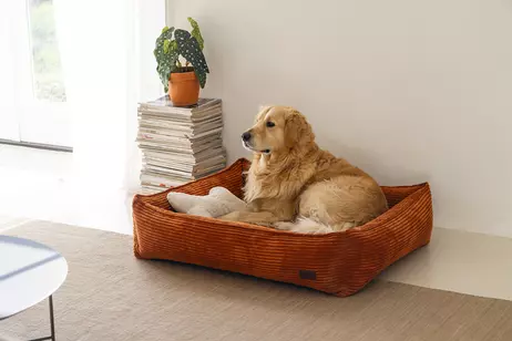 Designed by Lotte Hundeseng i Ribbestoff - Terra (51-716262-1500018978)