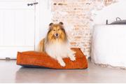 Designed by Lotte Hundemadrass i Ribbestoff - Terra (51-716267-1500012022)