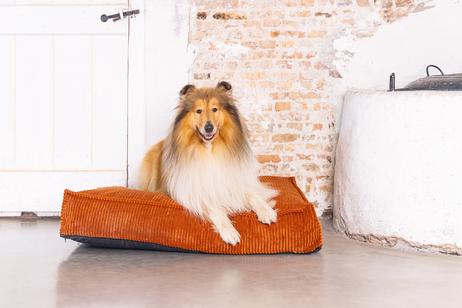 Designed by Lotte Hundemadrass i Ribbestoff - Terra (51-716269)