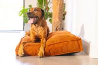 Designed by Lotte Hundemadrass i Ribbestoff - Terra (51-716269)