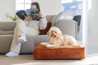 Designed by Lotte Hundemadrass i Ribbestoff - Terra (51-716269)