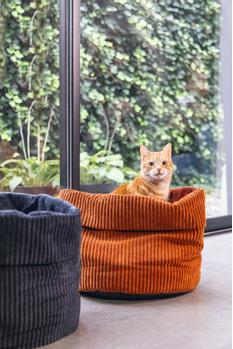 Designed by Lotte Kattekurv i Ribbestoff,  Terra - 35cm (51-716279)