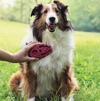 Kong Zoom Groom Børste (40-B0107)