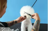 Andis Ensidig Effileringssaks (9-80645)