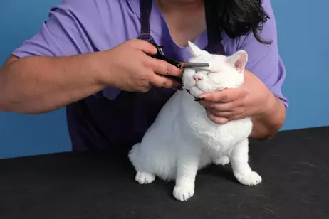 Andis Ensidig Effileringssaks (9-80645)