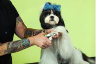 Andis Klotang (9-68575)