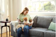 Andis Klotang (9-68575)