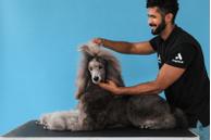 Andis Stålkam  (9-68545)