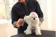 Andis Stålkam  (9-68545)