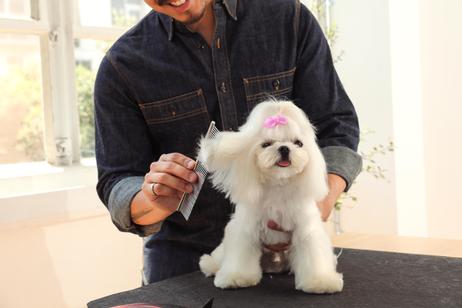 Andis Stålkam  (9-68545)