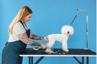 Andis Stålkam  (9-68545)