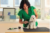 Andis Stålkam  (9-68545)