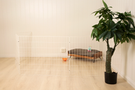 Hundegjerde,  4stk - Hvit (114-401-WH)