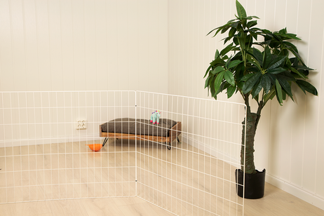 Hundegjerde,  4stk - Hvit (114-401-WH)