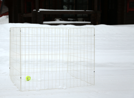 Hundegjerde,  4stk - Hvit (114-401-WH)