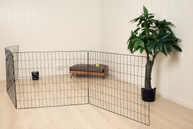 Hundegjerde,  4stk - Svart (114-401-BK)