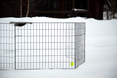 Hundegjerde,  4stk - Svart (114-401-BK)