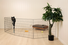  Hundegjerde, 4stk - Grå