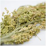 Jr Farm Hirseaks - 400g (5-25528)