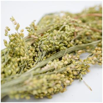 Jr Farm Panicle Hirse - 400g (5-25528)