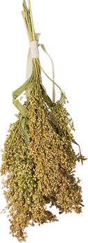 Jr Farm Pancile Hirse - 100g (5-08866)