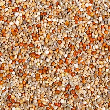 Jr Farm Feast Eksotiske Fugler - 1kg (5-08396)