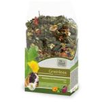 Jr Farm Kornfri Mix til Marsvin - 650g (5-10110)