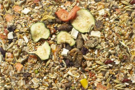 Jr Farm Ørkenrottemat - 500g (5-13664)