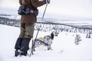 Seleverkstedet Nome Hundesele (123-100-002-1500023639)
