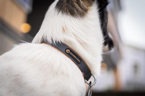 Seleverkstedet Secure Halsbånd (123-260-022)