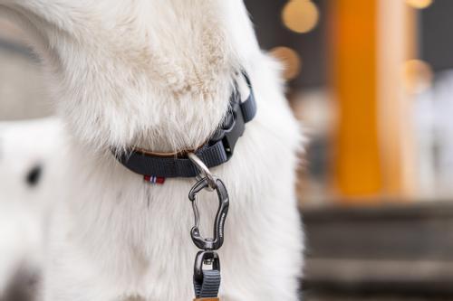 Seleverkstedet Secure Halsbånd (123-260-020-1500023875)