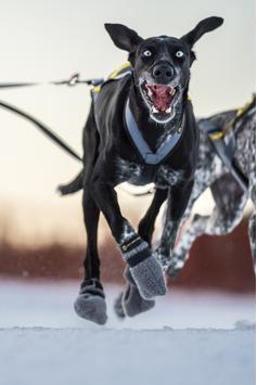 Seleverkstedet High Fleece Potesokker 4pk - Grå (123-320-034)