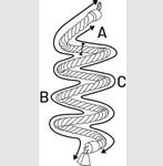 Twister Klatrespiral til Fugl  (14-47370-1500063629)