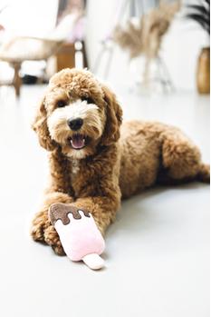 Hundeleke Iskrem, Rosa - 19cm (51-617001)